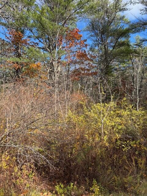 Tbd Log Cabin Road Kennebunkport, ME 04046 - Photo 3 of 9 Fall 3