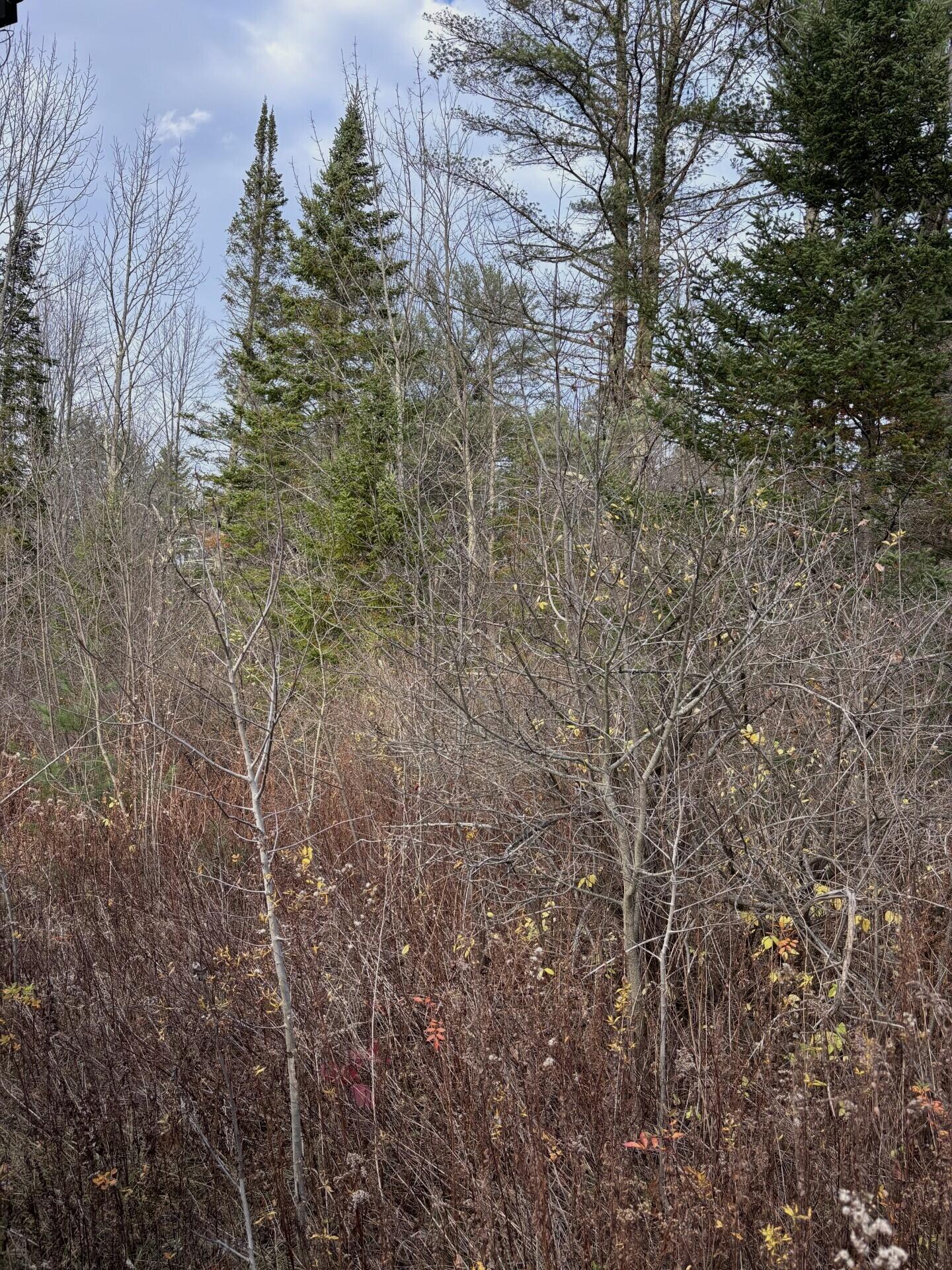 Tbd Log Cabin Road Kennebunkport, ME 04046 - Photo 6 of 9 Pines2