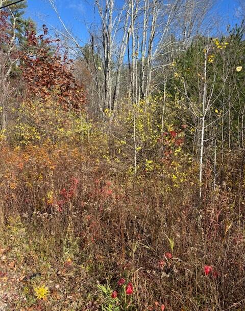 Tbd Log Cabin Road Kennebunkport, ME 04046 - Photo 8 of 9 Fall