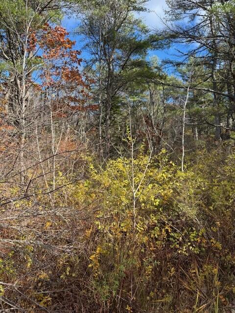 Tbd Log Cabin Road Kennebunkport, ME 04046 - Photo 9 of 9 Fall 2