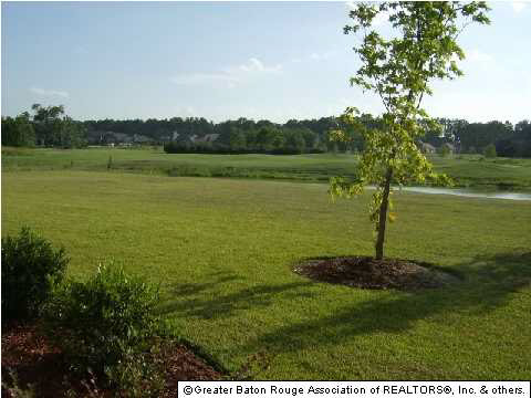 25781 Wax Road Denham Springs, LA 70726 - Photo 14 of 20 Gallery Image 14