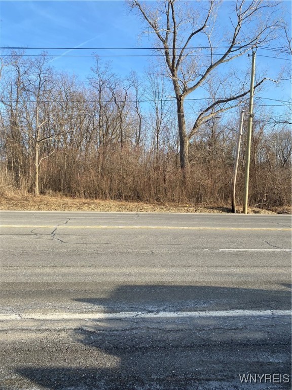 10669 Erie Road Irving, NY 14081 - Photo 12 of 12