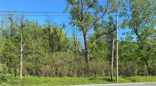 $15,000 | 10669 Erie Road, Irving, NY 14081