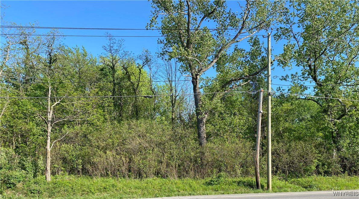 10669 Erie Road Irving, NY 14081 - Photo 2 of 12