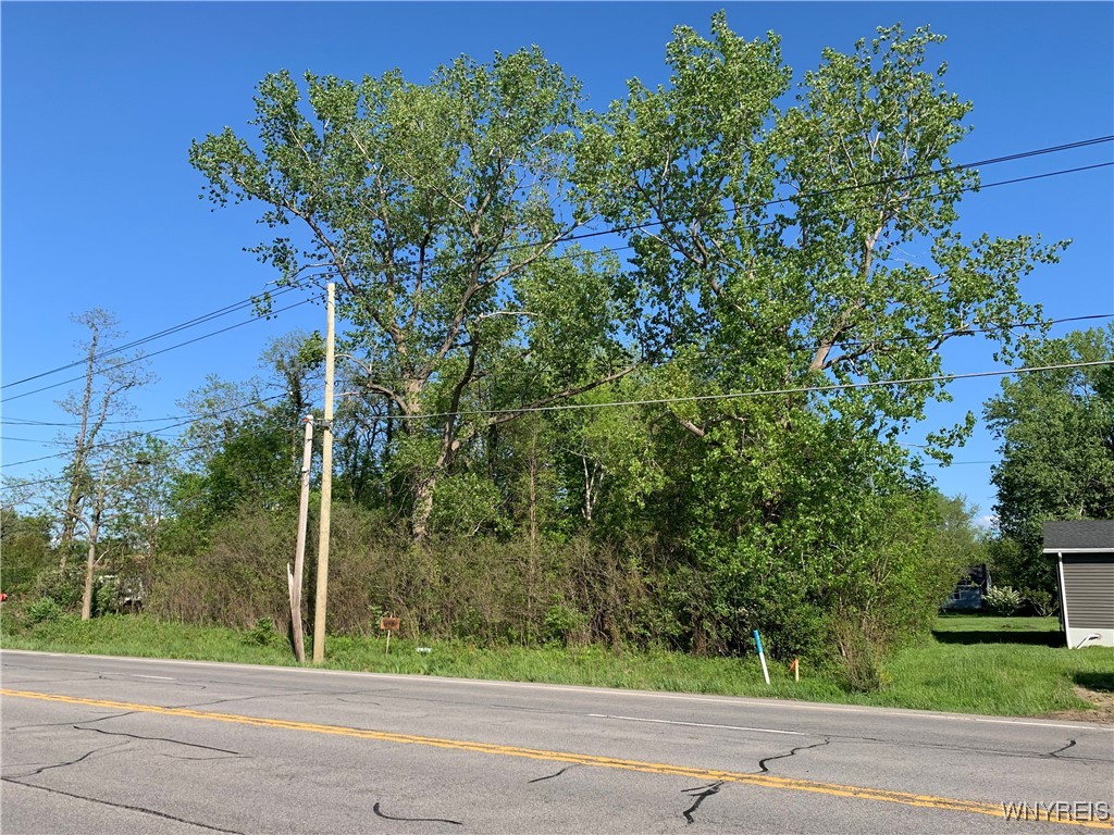 10669 Erie Road Irving, NY 14081 - Photo 4 of 12