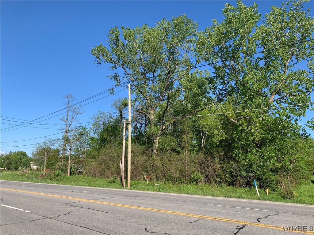 10669 Erie Road Irving, NY 14081 - Photo 6 of 12