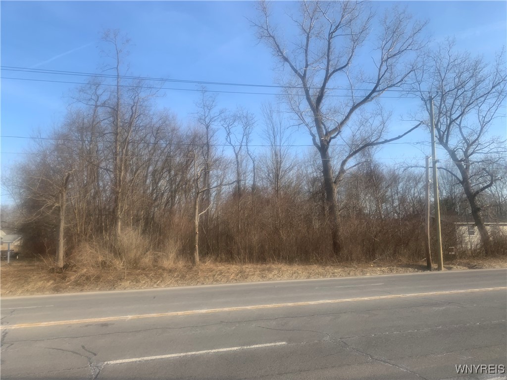 10669 Erie Road Irving, NY 14081 - Photo 9 of 12