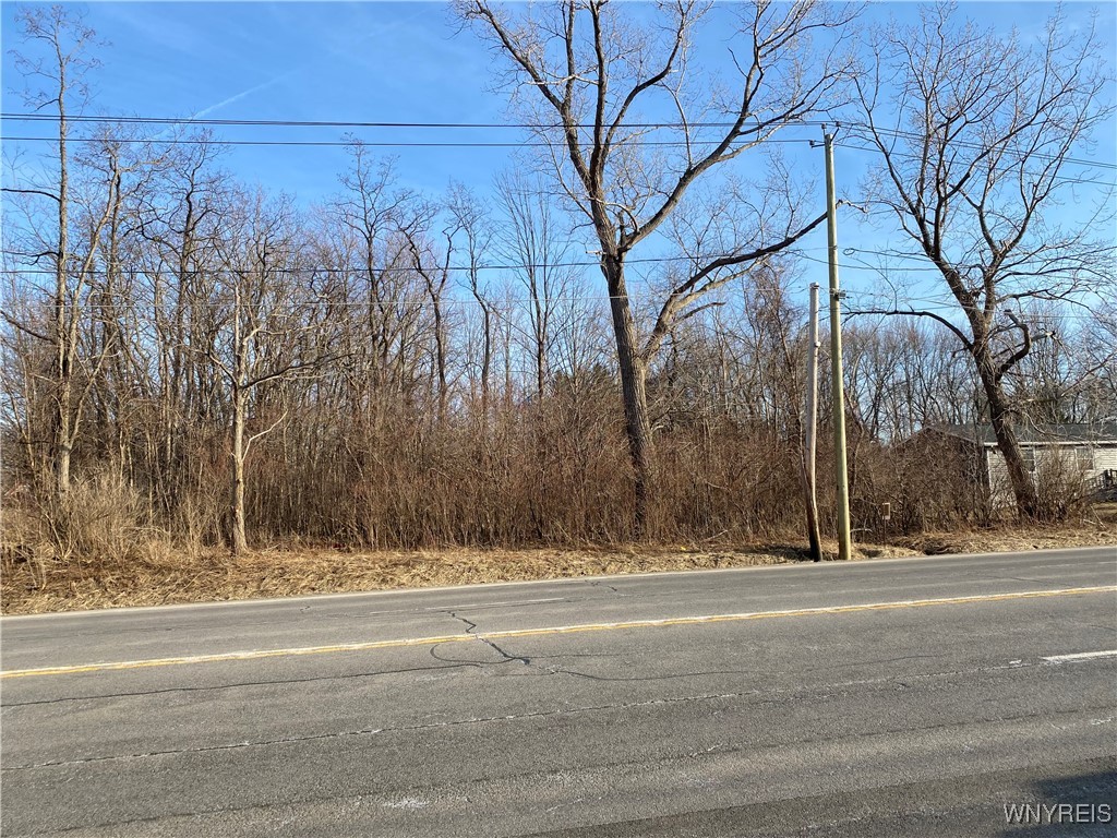 10669 Erie Road Irving, NY 14081 - Photo 10 of 12