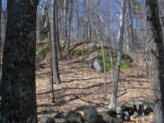 Tumble Down Dick Road Brookfield, NH 03872 - Photo 1 of 1
