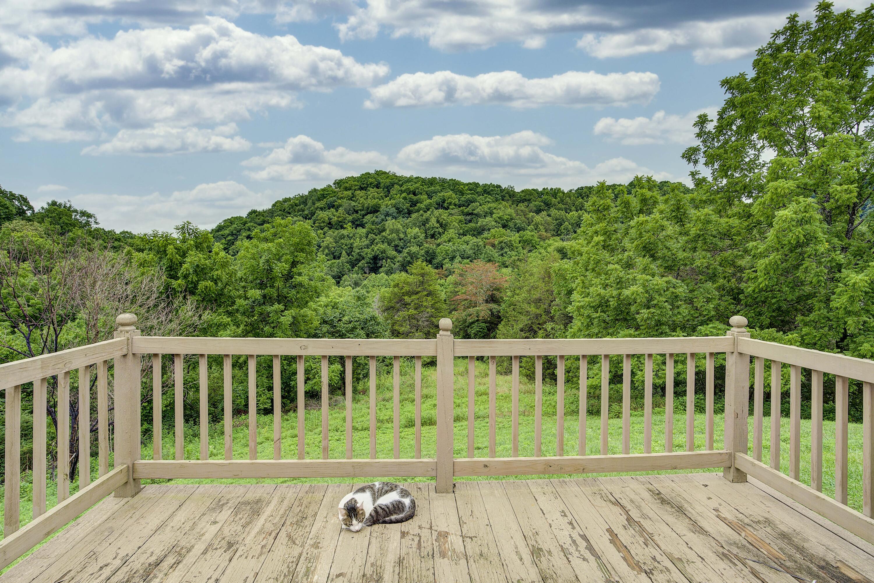 3764 Copper Creek Road Duffield, VA 24244 - Photo 5 of 30 Deck