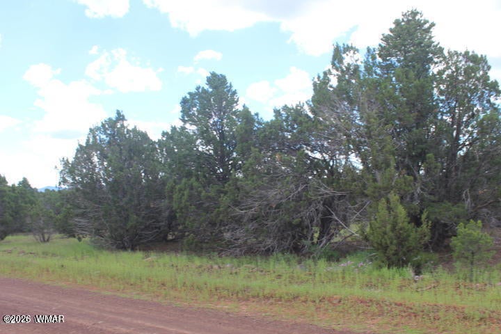 29 Co Road Show Low, AZ 85901 - Photo 15 of 23 Gallery Image 15