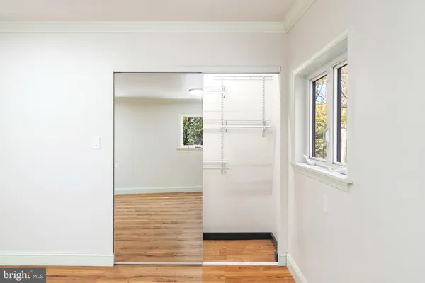 a view of backyard with large trees and wooden fence