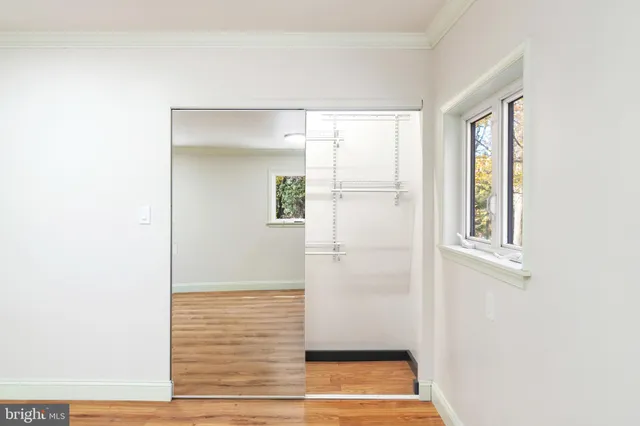a view of backyard with large trees and wooden fence