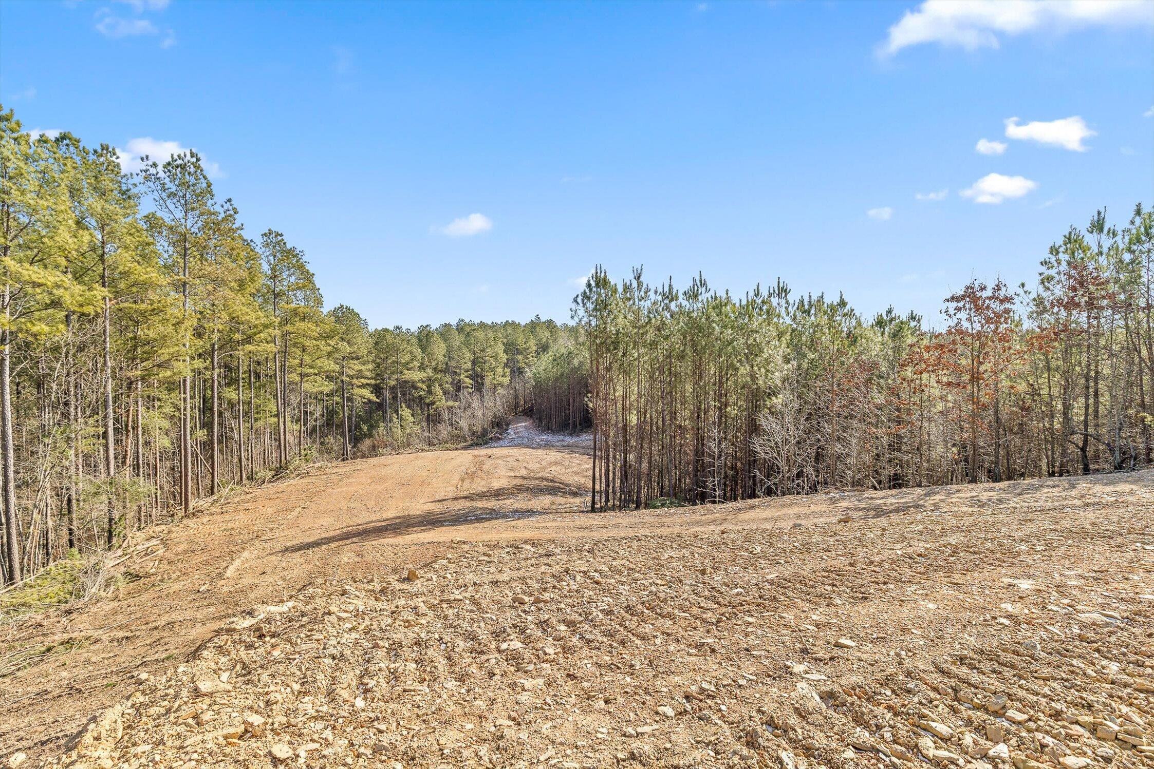 Tract 2 Conniston Road Chatsworth, GA 30705 - Photo 11 of 29 07-Tract 2-7