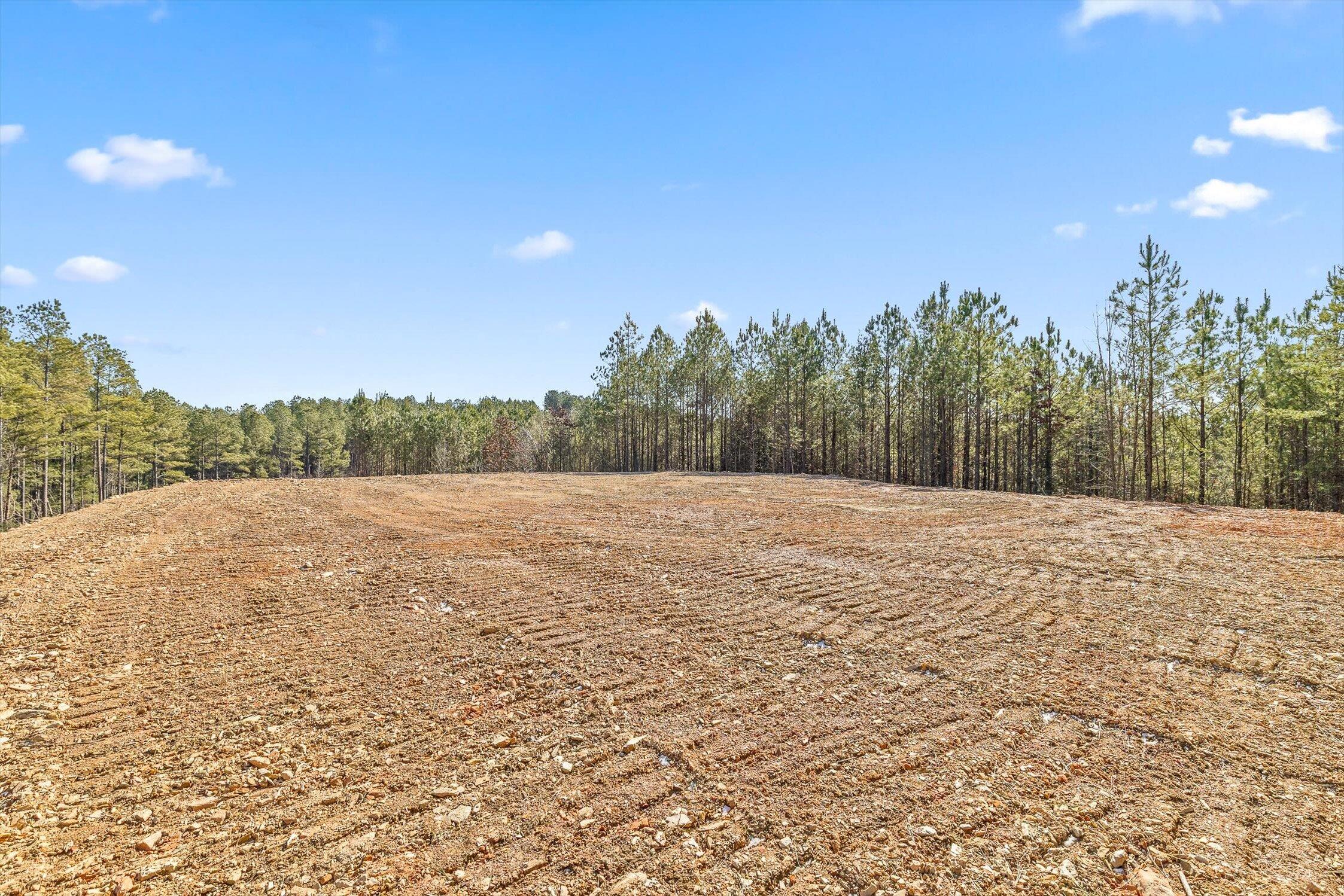 Tract 2 Conniston Road Chatsworth, GA 30705 - Photo 12 of 29 08-Tract 2-8