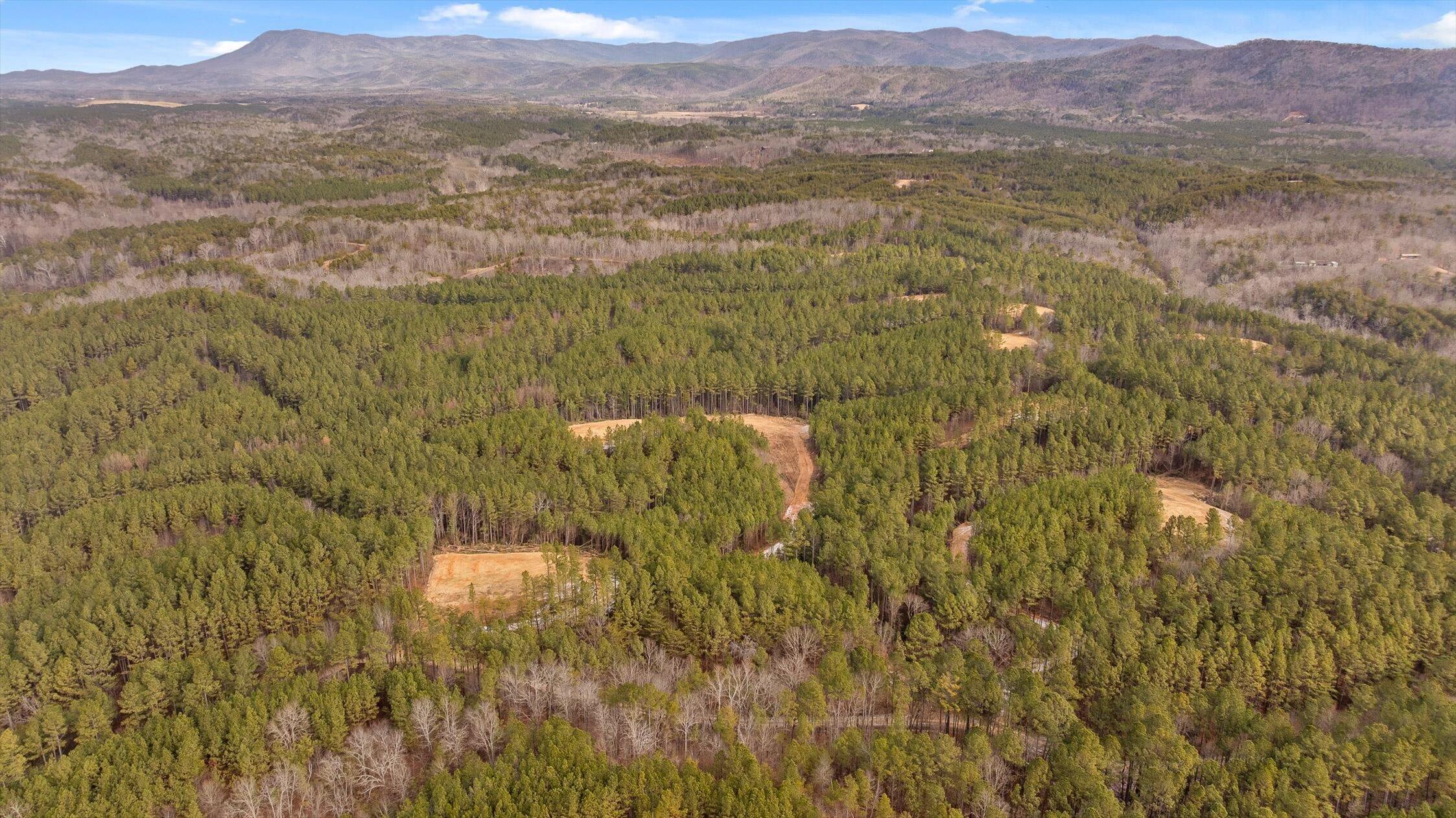 Tract 2 Conniston Road Chatsworth, GA 30705 - Photo 13 of 29 09-Tract 2-9