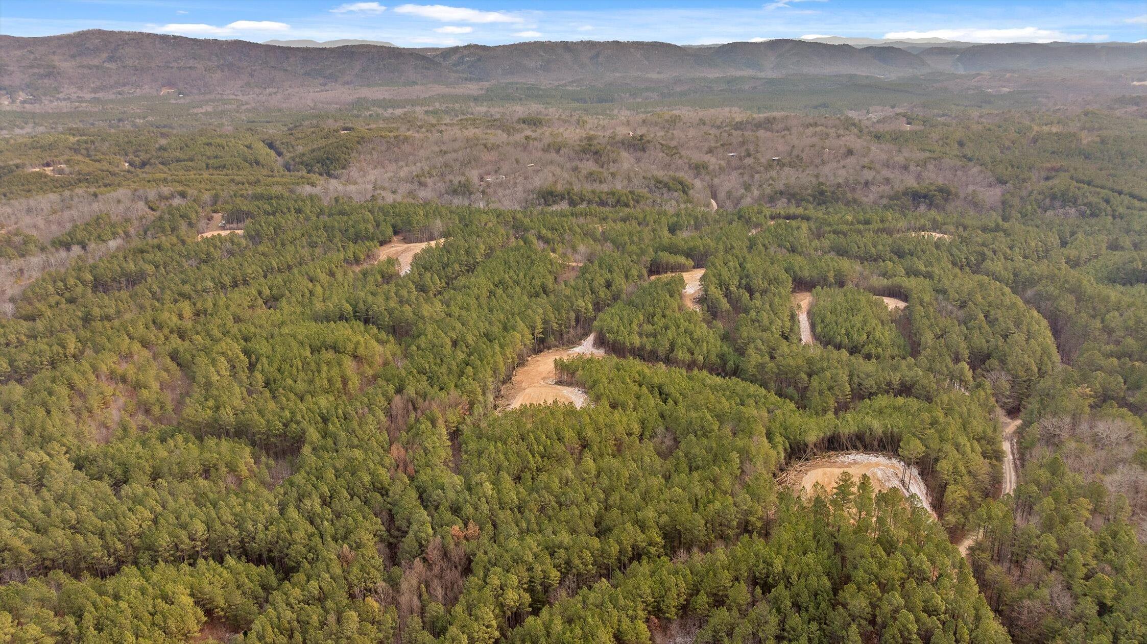 Tract 2 Conniston Road Chatsworth, GA 30705 - Photo 15 of 29 11-Tract 2-11