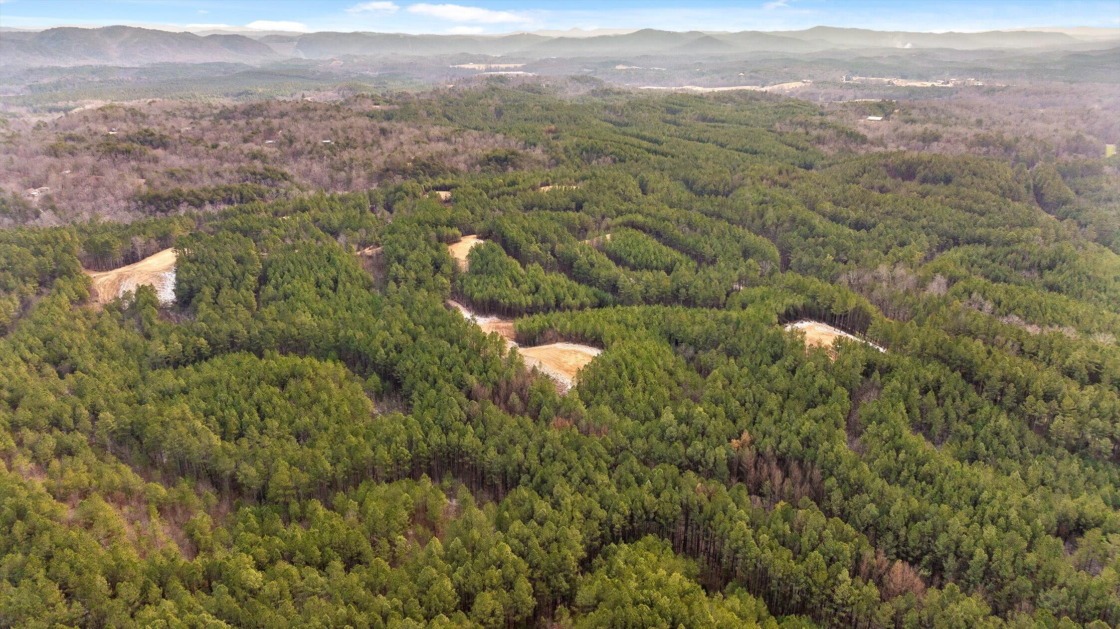 Tract 2 Conniston Road Chatsworth, GA 30705 - Photo 16 of 29 12-Tract 2-12