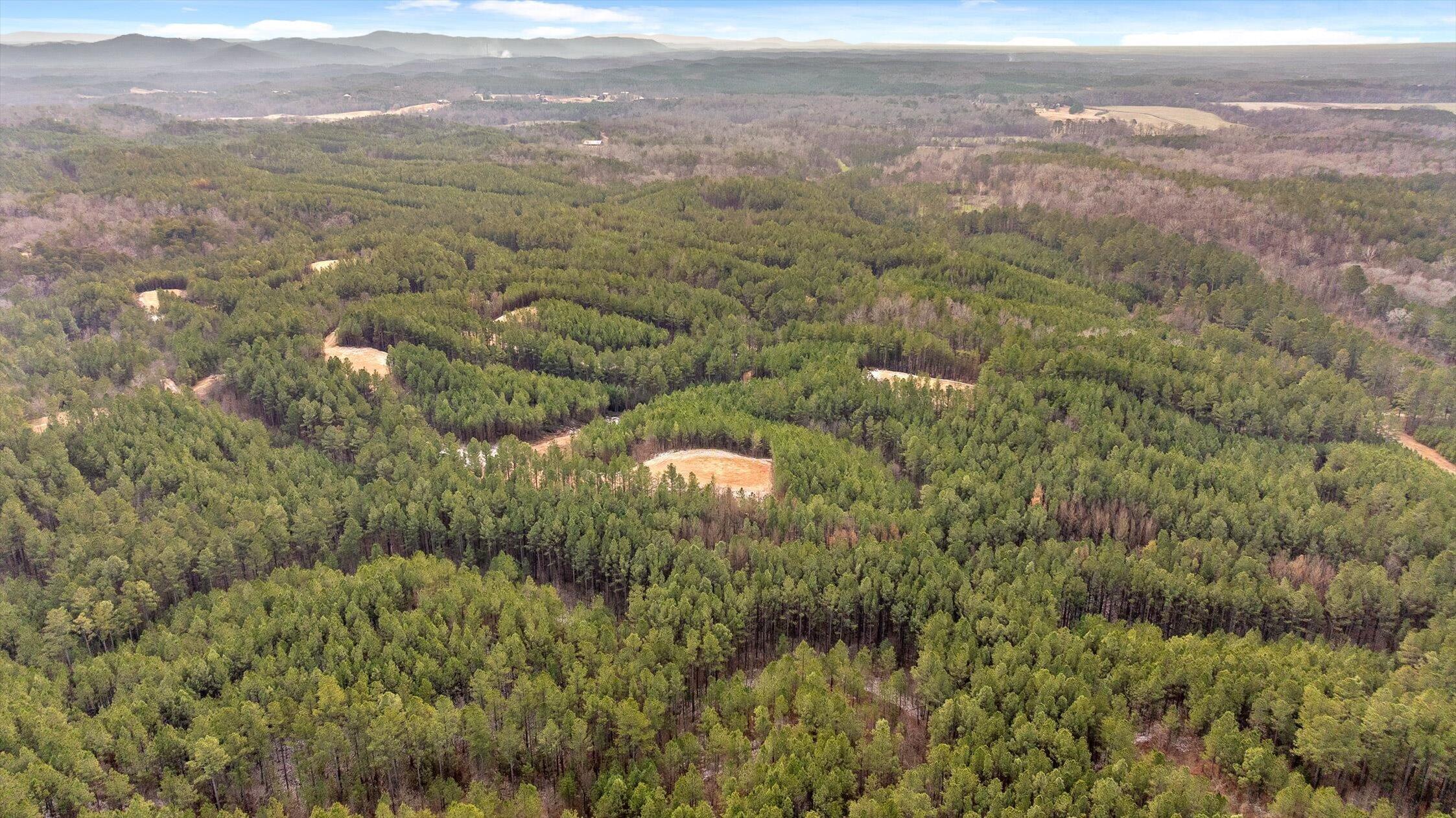 Tract 2 Conniston Road Chatsworth, GA 30705 - Photo 17 of 29 13-Tract 2-13