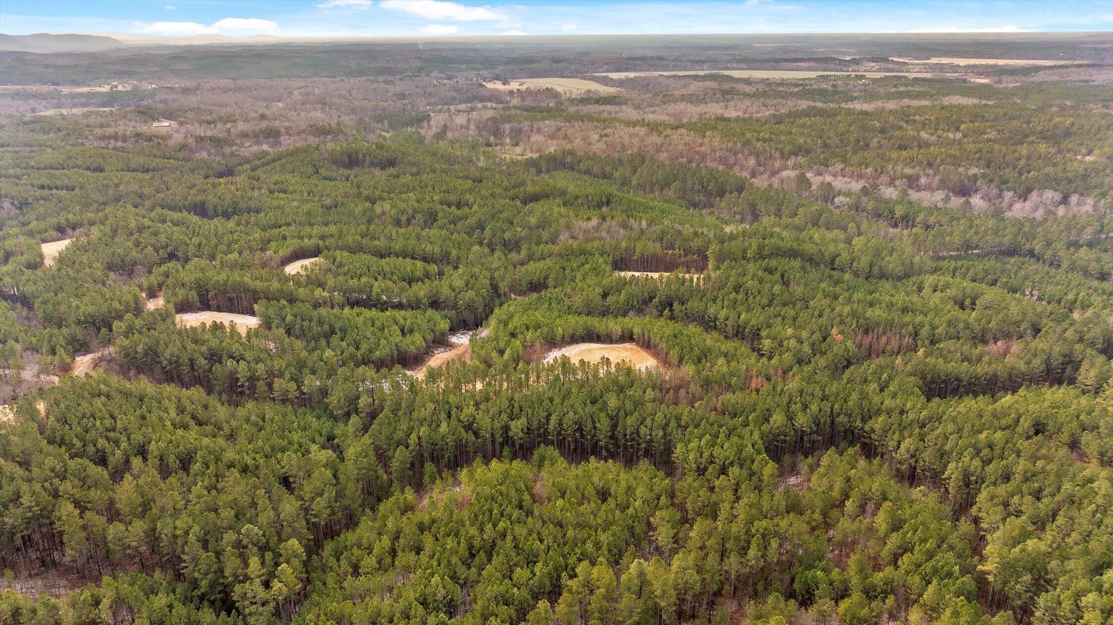 Tract 2 Conniston Road Chatsworth, GA 30705 - Photo 18 of 29 14-Tract 2-14