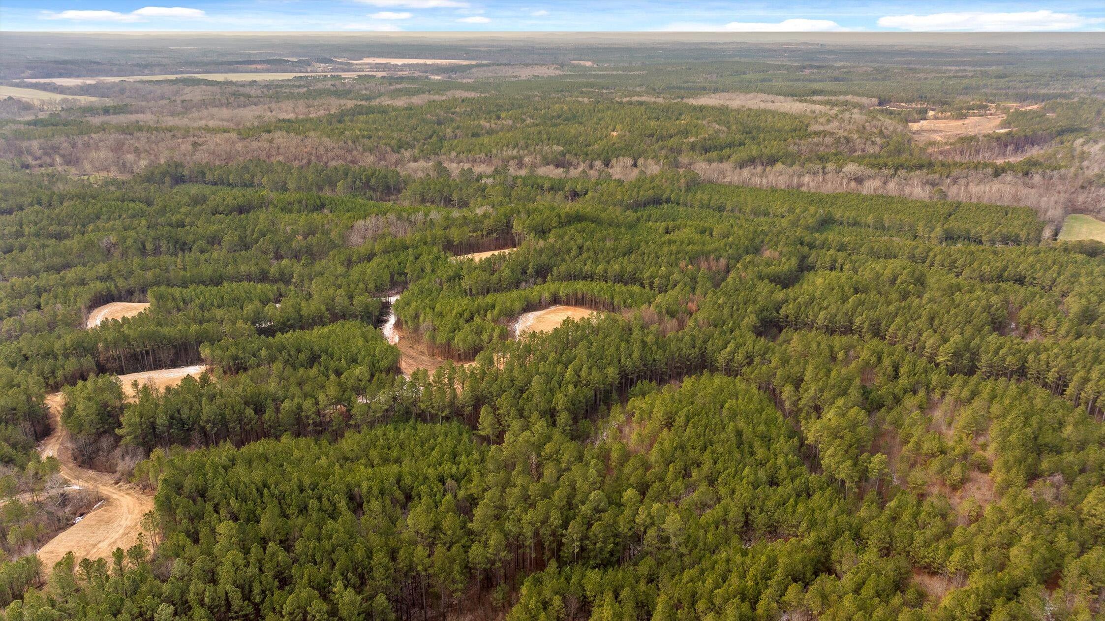 Tract 2 Conniston Road Chatsworth, GA 30705 - Photo 19 of 29 15-Tract 2-15