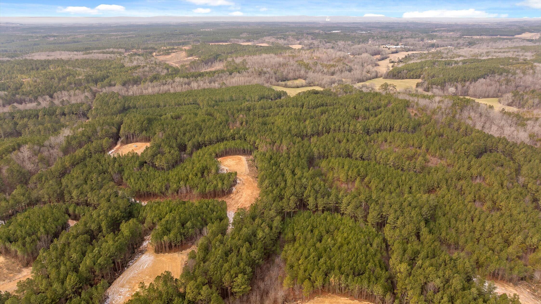 Tract 2 Conniston Road Chatsworth, GA 30705 - Photo 20 of 29 16-Tract 2-16