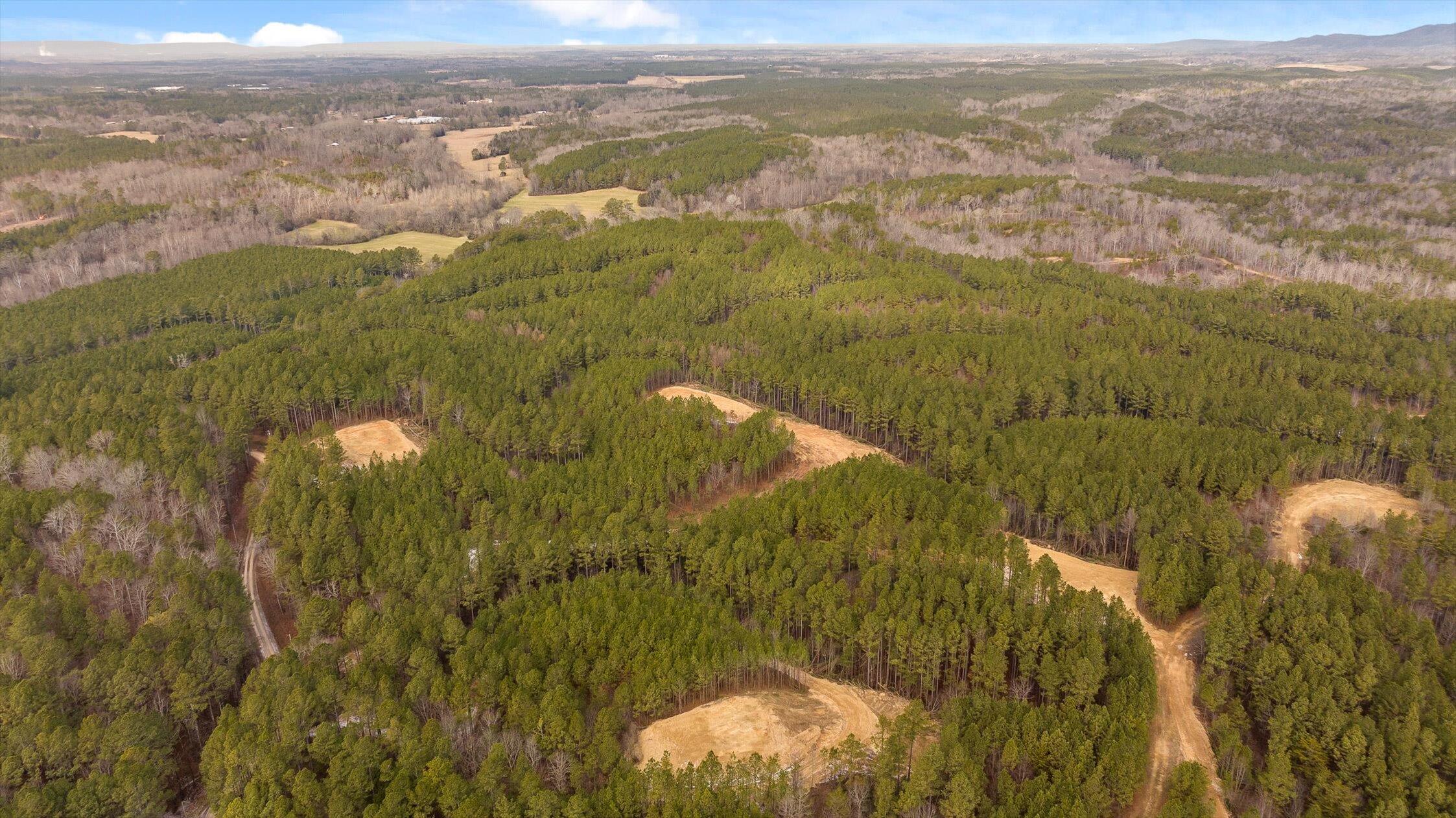 Tract 2 Conniston Road Chatsworth, GA 30705 - Photo 21 of 29 17-Tract 2-17