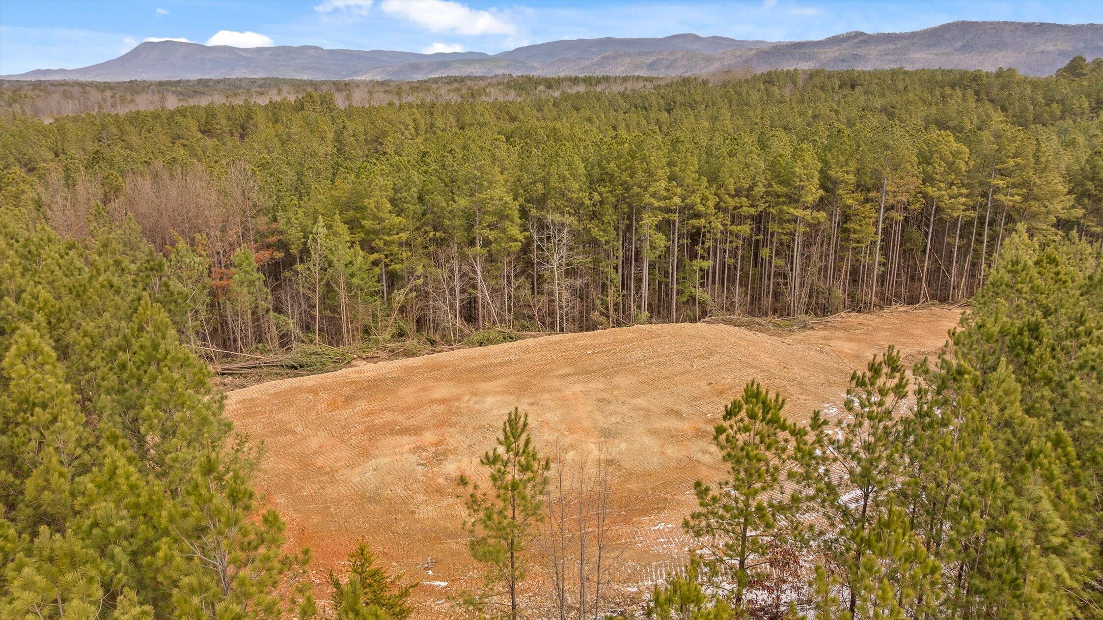 Tract 2 Conniston Road Chatsworth, GA 30705 - Photo 26 of 29 24-Tract 2-24
