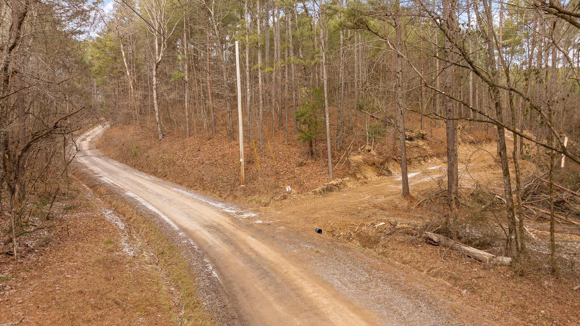 Tract 2 Conniston Road Chatsworth, GA 30705 - Photo 5 of 29 19-Tract 2-19