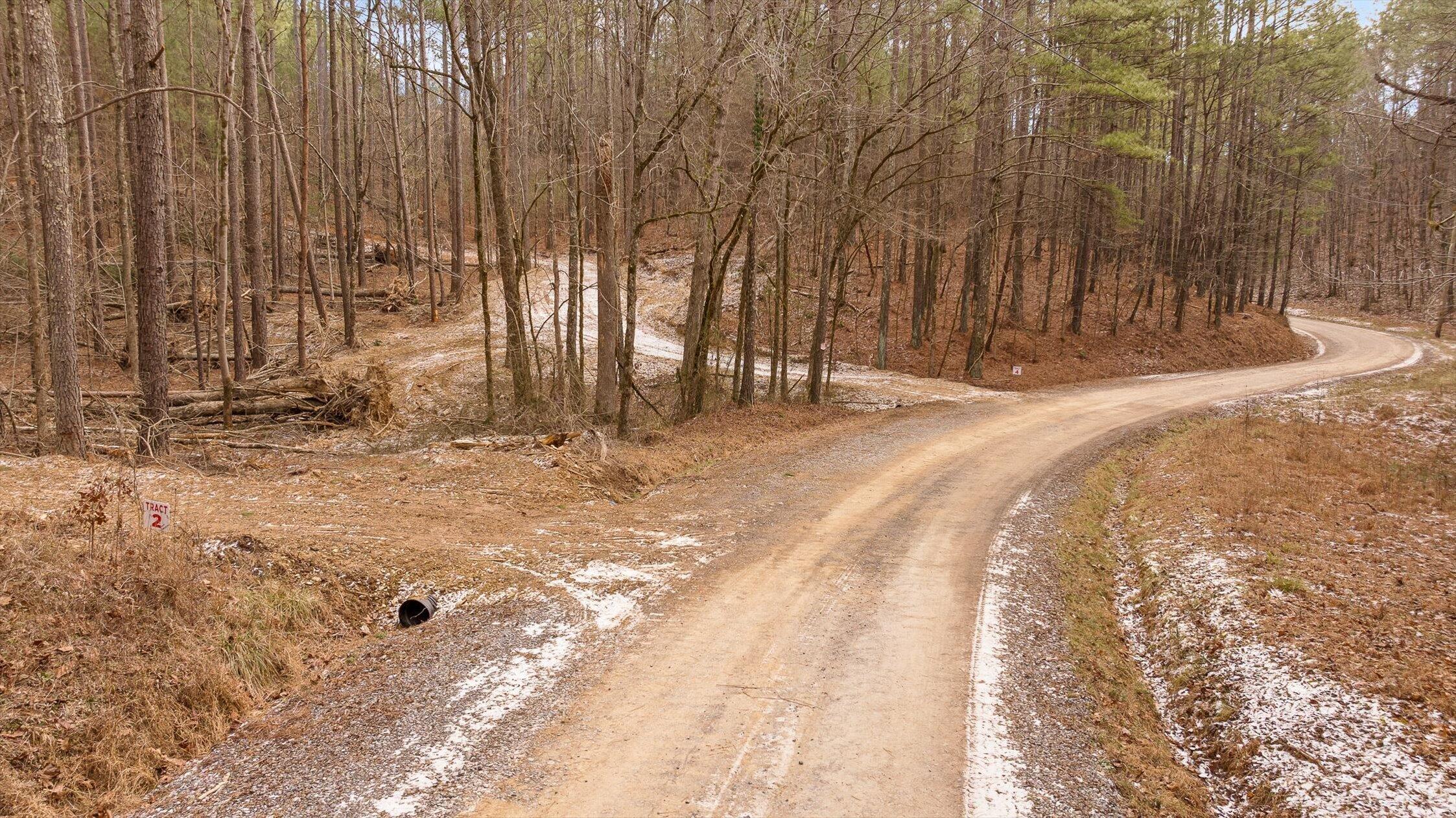 Tract 2 Conniston Road Chatsworth, GA 30705 - Photo 6 of 29 20-Tract 2-20
