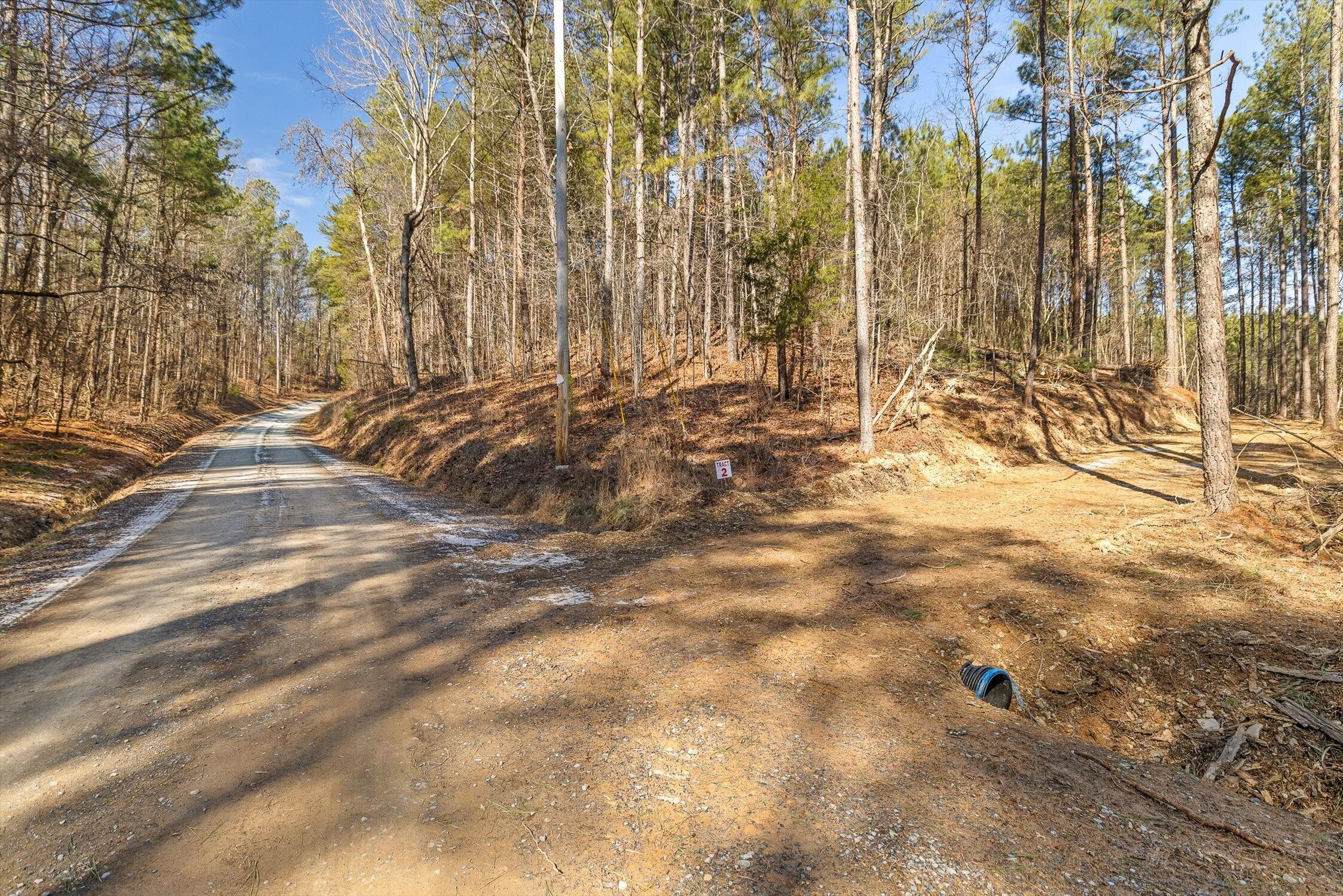 Tract 2 Conniston Road Chatsworth, GA 30705 - Photo 7 of 29 03-Tract 2-3