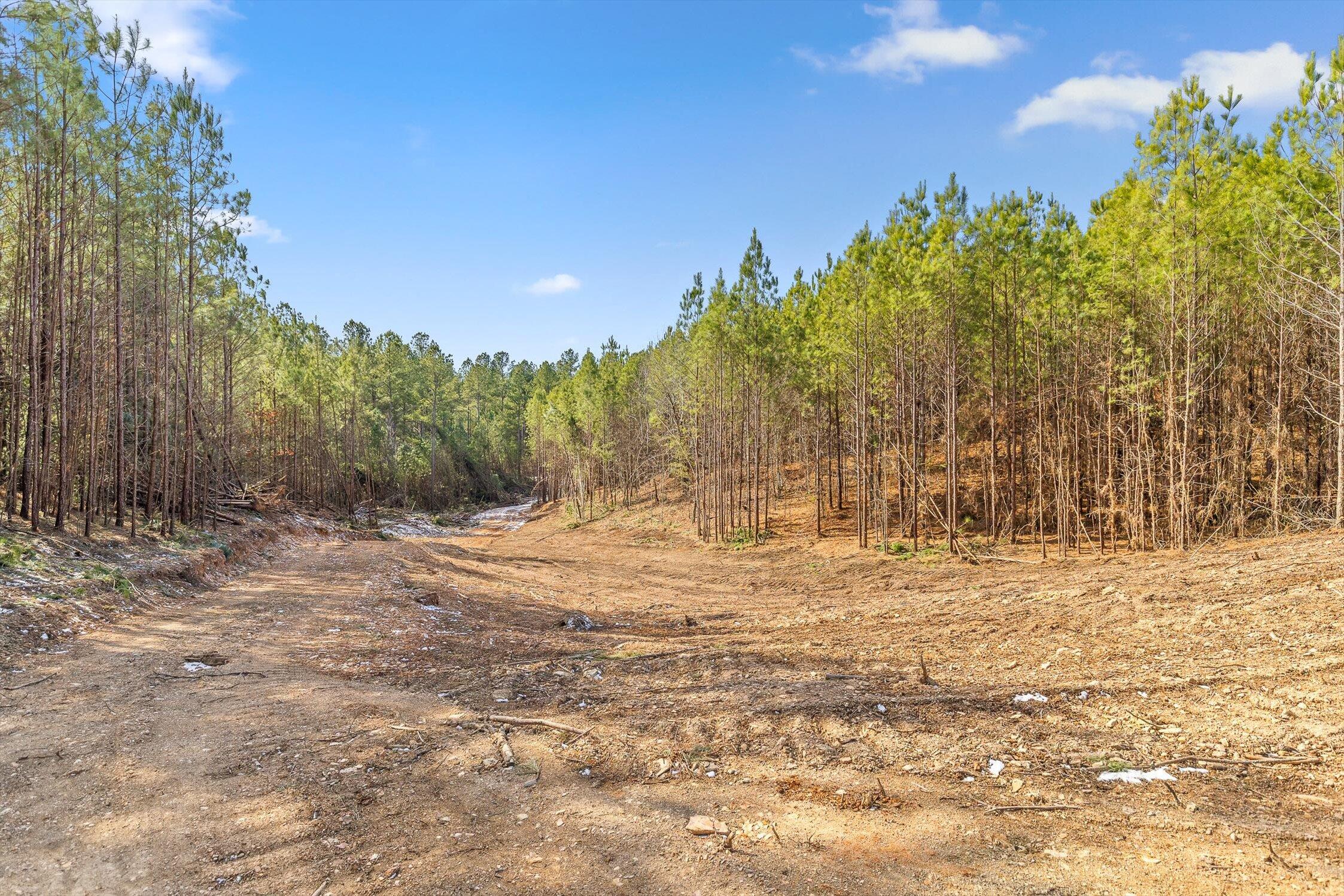 Tract 2 Conniston Road Chatsworth, GA 30705 - Photo 9 of 29 05-Tract 2-5