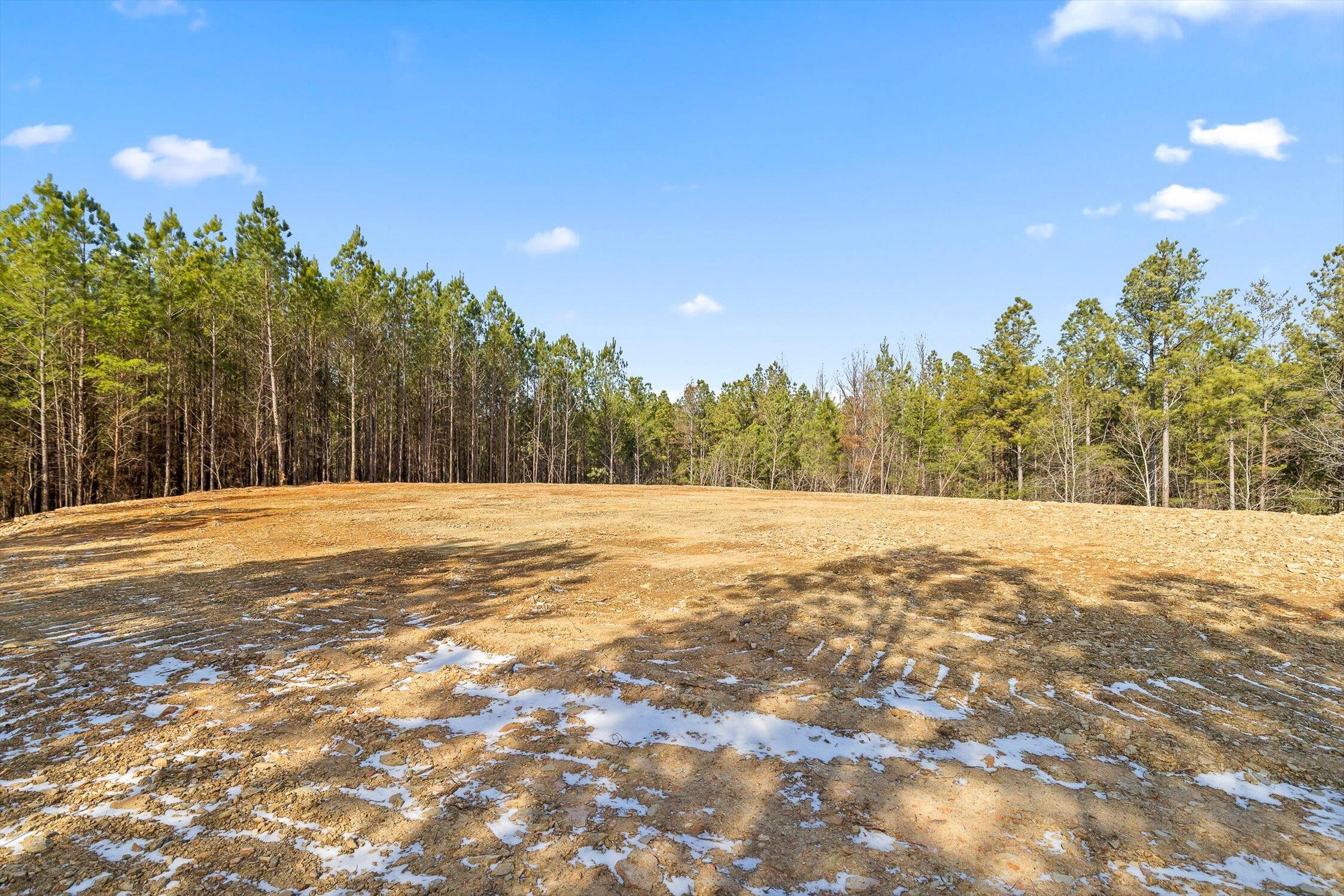 Tract 2 Conniston Road Chatsworth, GA 30705 - Photo 10 of 29 06-Tract 2-6
