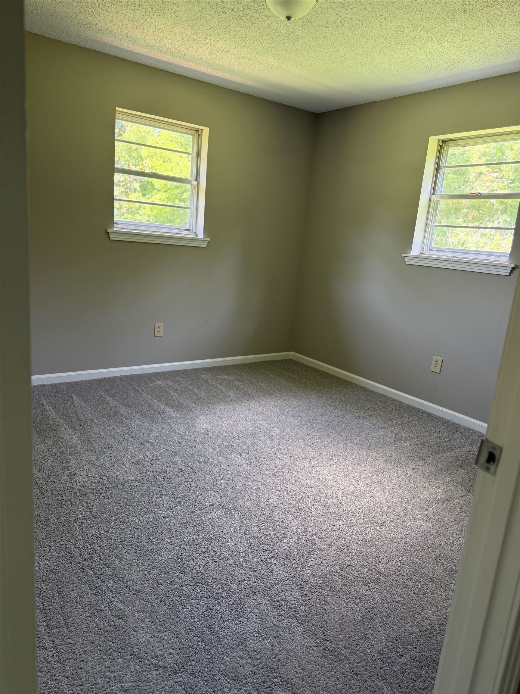 583 Armstrong Road Drummonds, TN 38023 - Photo 11 of 14 Carpeted room featuring two windows with white trim, neutral wall color, and a ceiling-mounted light fixture