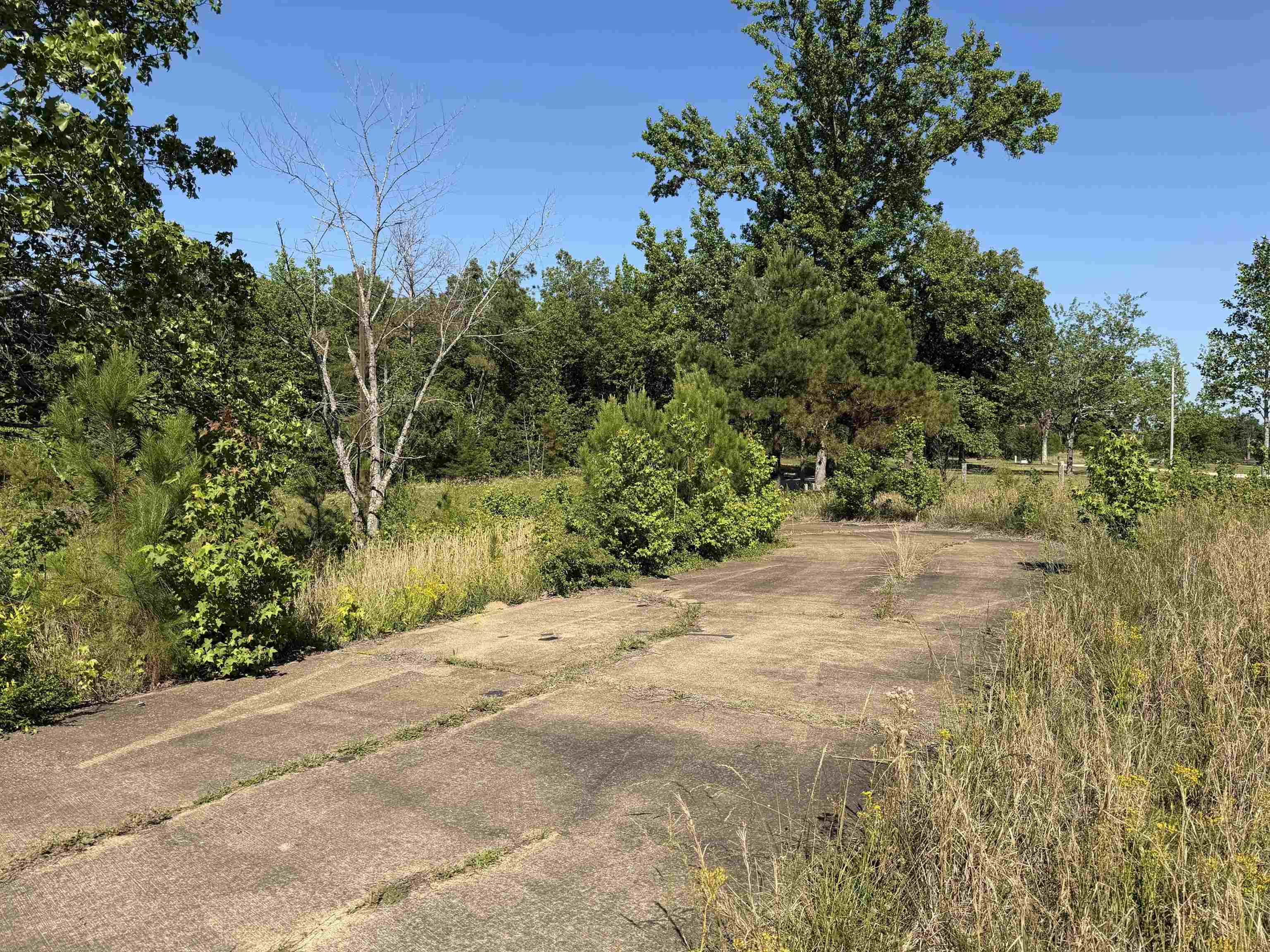 3180 Old Union Road Adamsville, TN 38310 - Photo 10 of 20