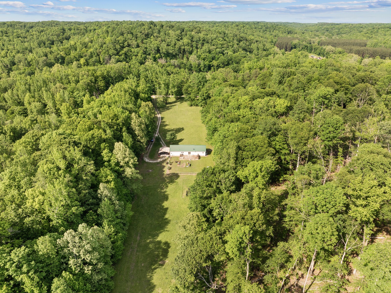 1637 Upper Standing Rock Road Dover, TN 37058 - Photo 54 of 57 a view of a big yard with plants and large trees