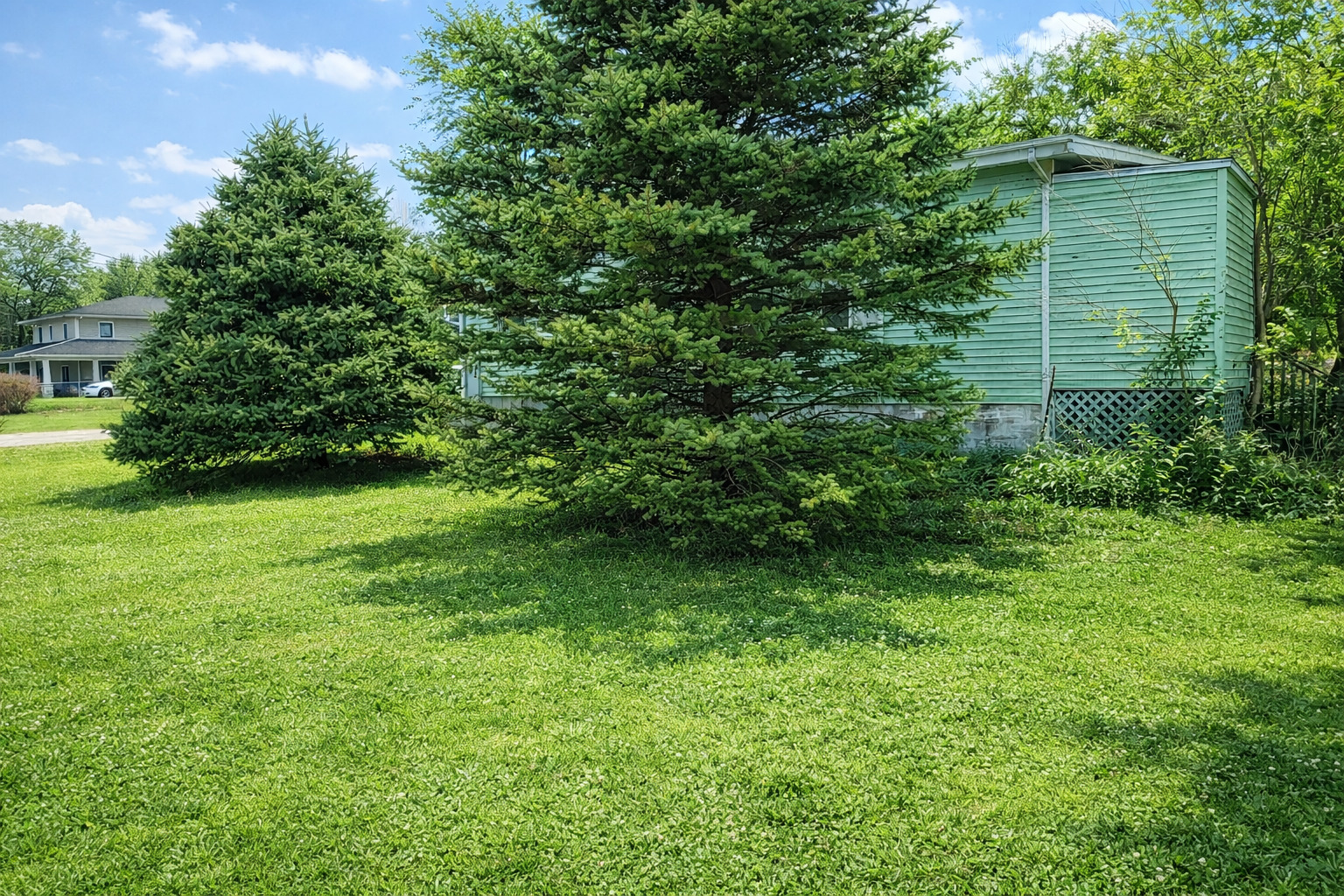 a view of a backyard with plants and large trees