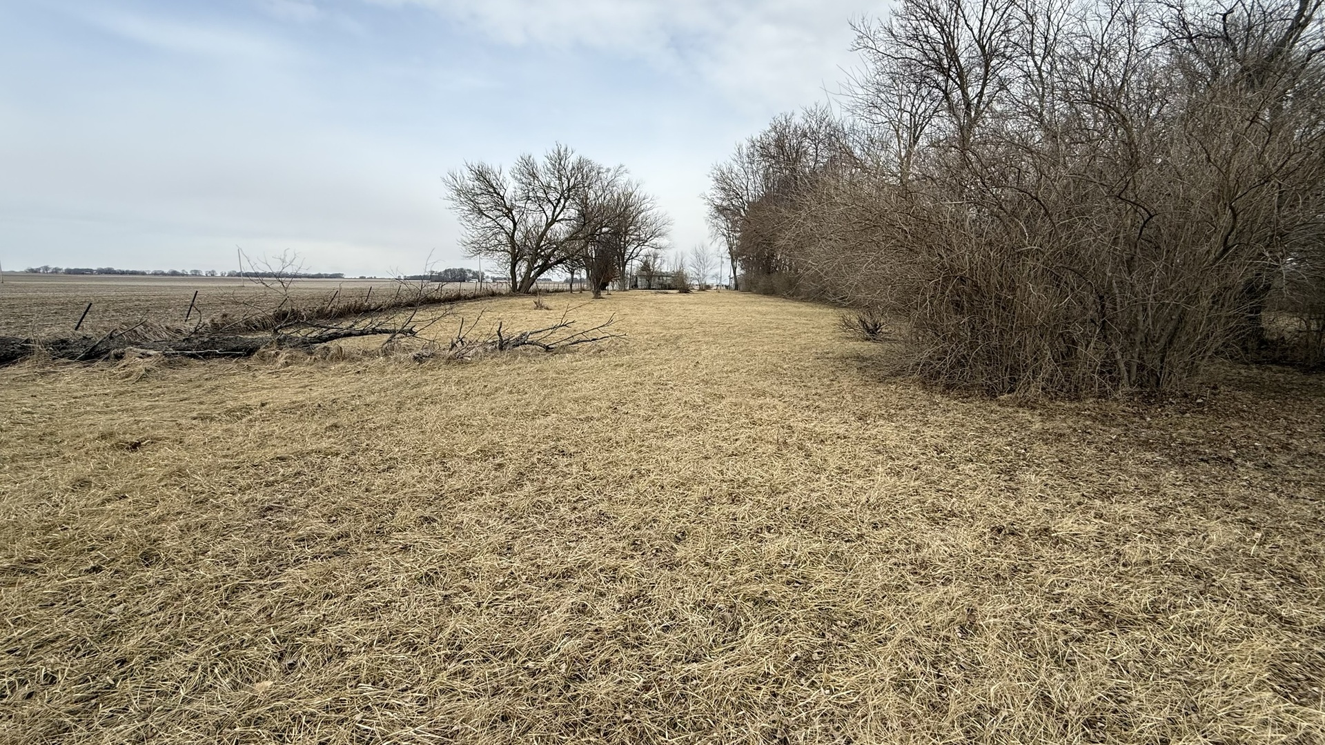 4103 East Oaks Road Urbana, IL 61802 - Photo 3 of 5 a view of a yard with a tree