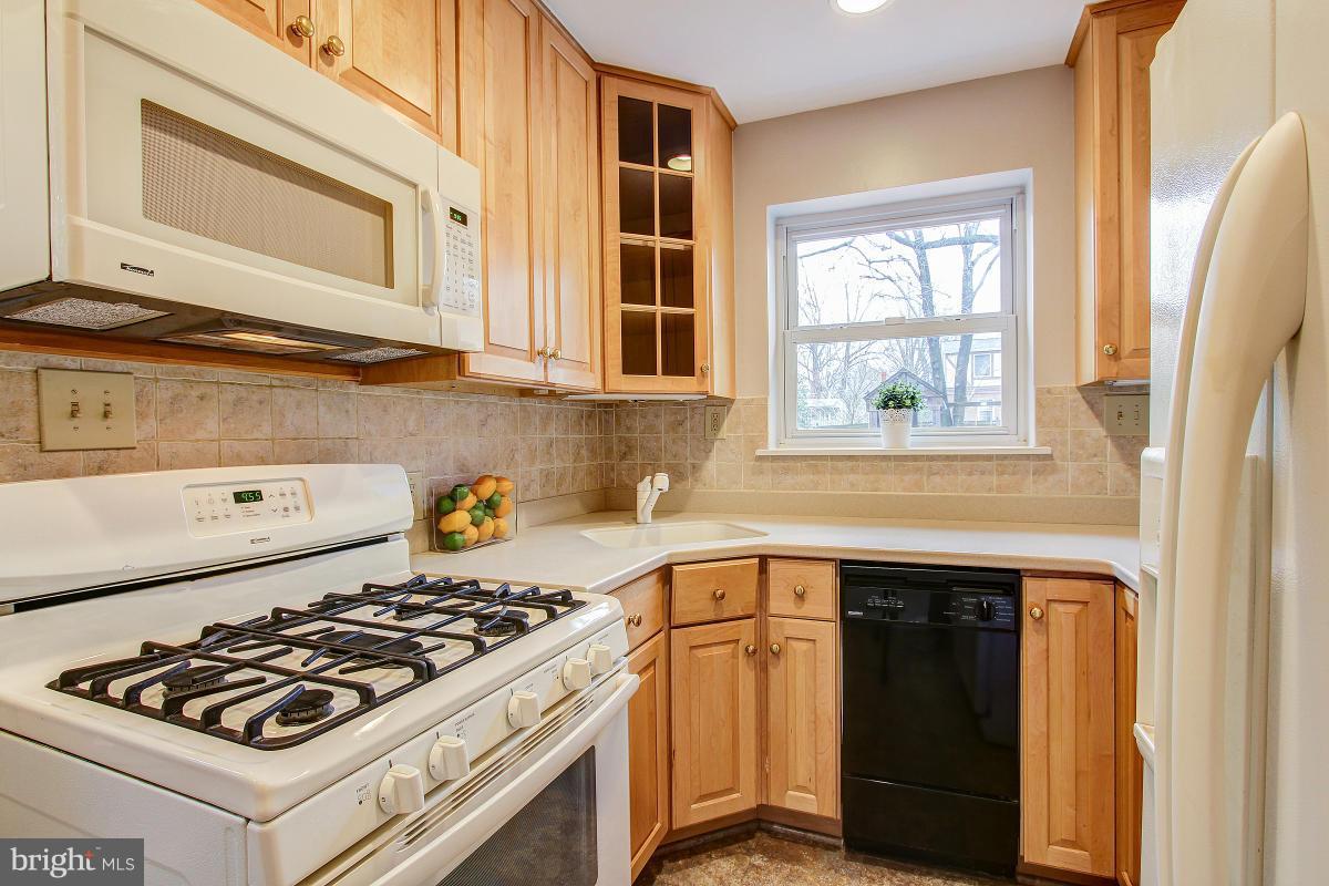 9109 Walden Road Silver Spring, MD 20901 - Photo 13 of 30 Kitchen