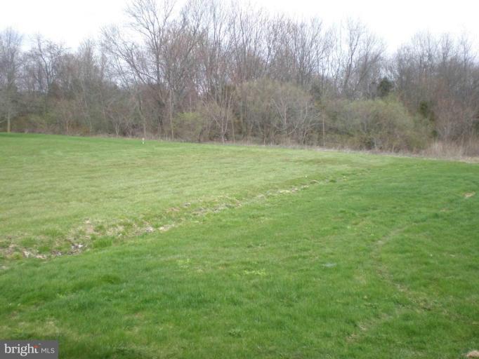 9130 Letzburg Road Mercersburg, PA 17236 - Photo 8 of 8 a view of outdoor space with green field and trees all around