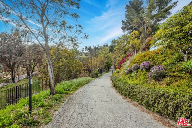 a view of a garden with plants and large trees