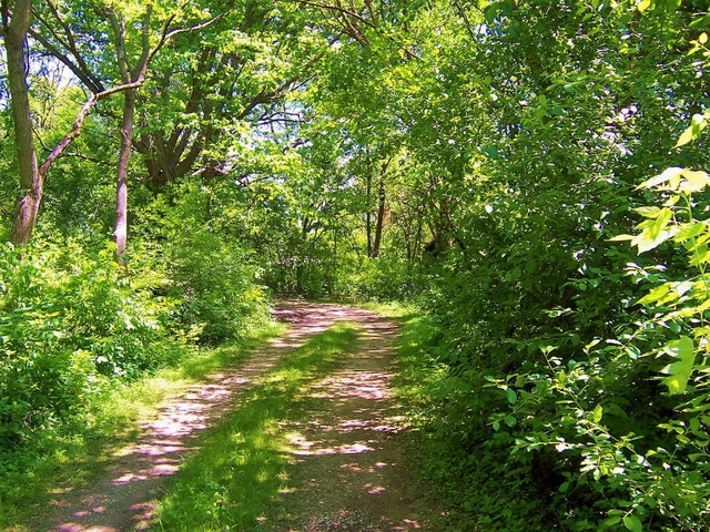 3S002 Wagner Road Batavia, IL 60510 - Photo 2 of 13