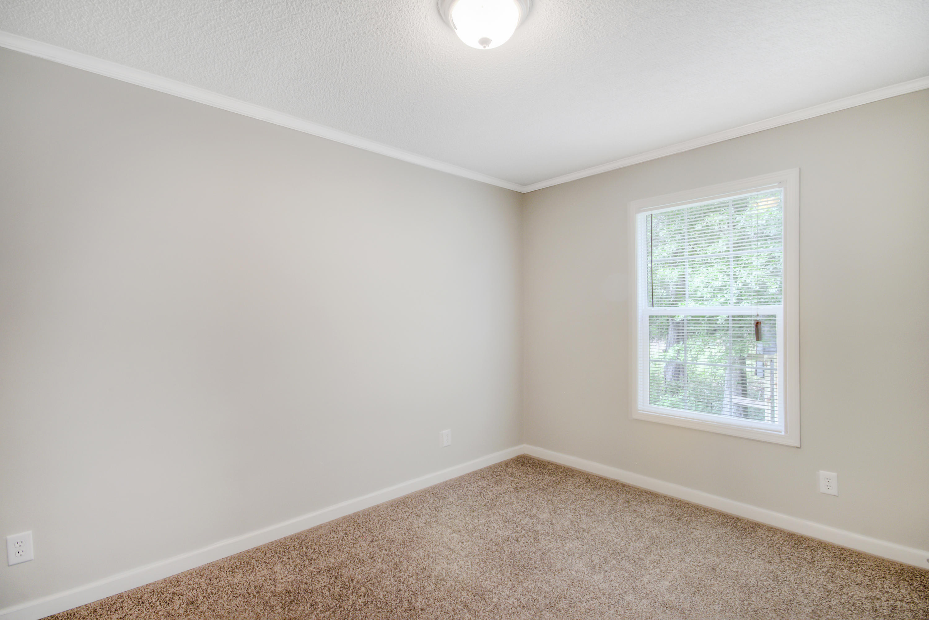 7927 Little Britton Road Hollywood, SC 29449 - Photo 17 of 18 IMG_1666_7_8