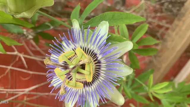 $120,000 | 500 North Gulf Street, Sanford, NC 27330