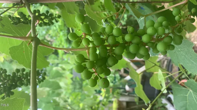 $120,000 | 500 North Gulf Street, Sanford, NC 27330