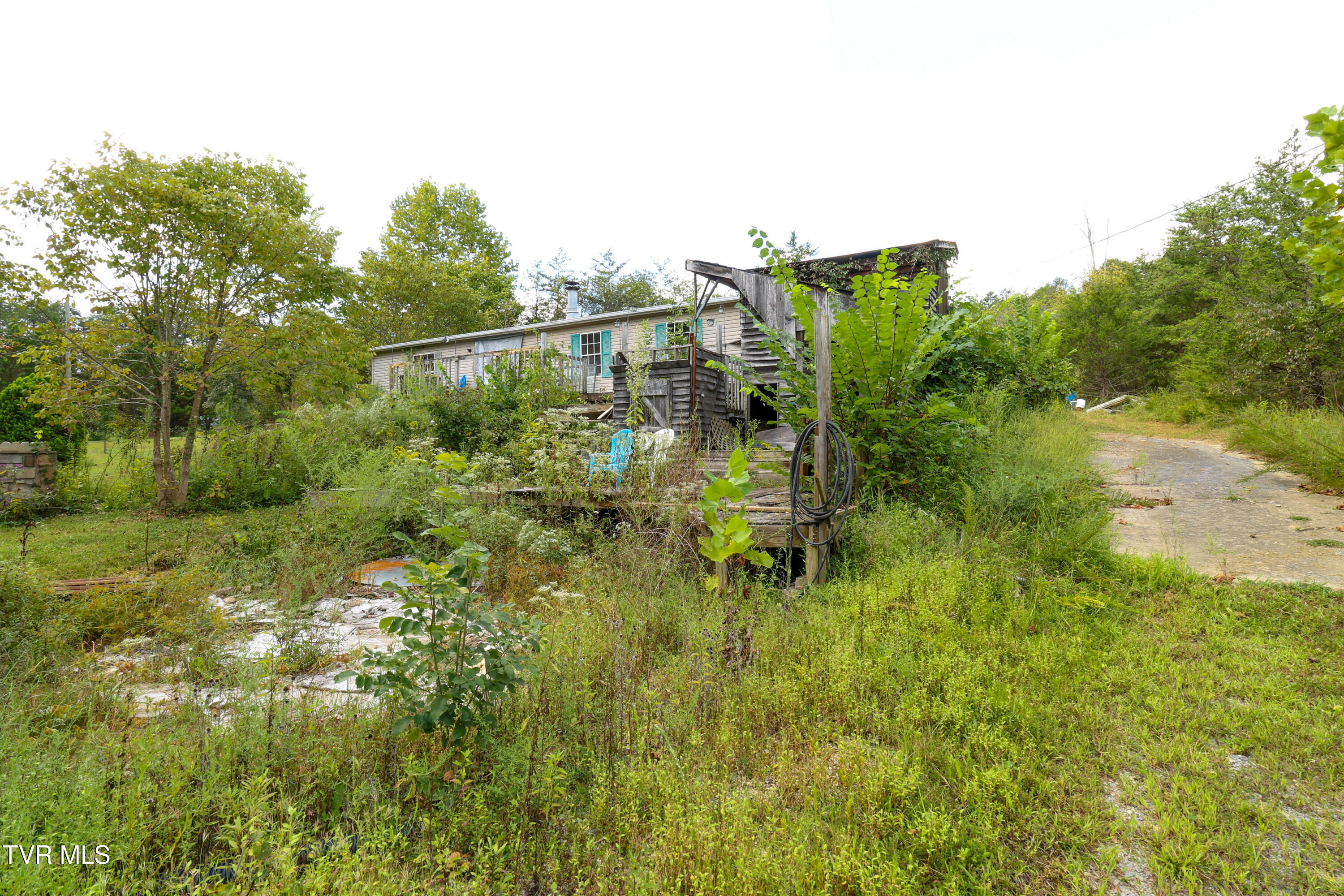 174 Coates Road Bulls Gap, TN 37711 - Photo 18 of 37 AM0A5977_1