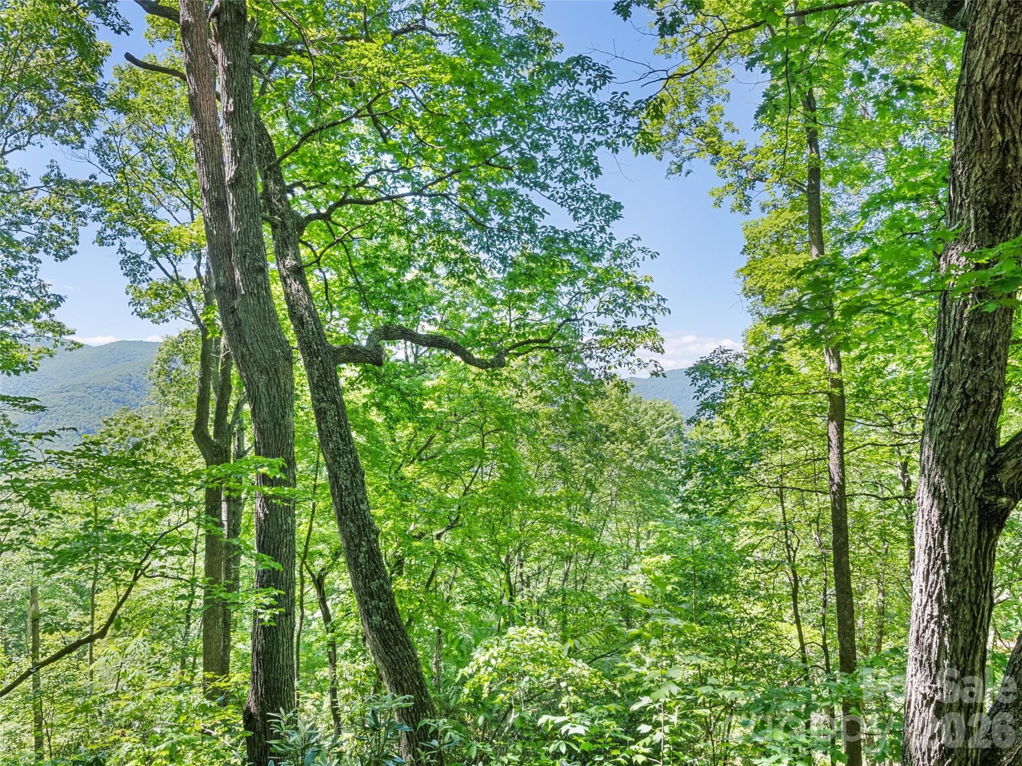 1392 Mt Chalet Road Canton, NC 28716 - Photo 14 of 34