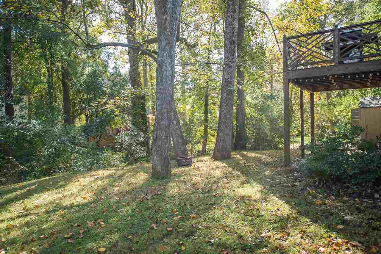 1924 Quail Ridge Road Raleigh, NC 27609 - Photo 21 of 25 Large Backyard