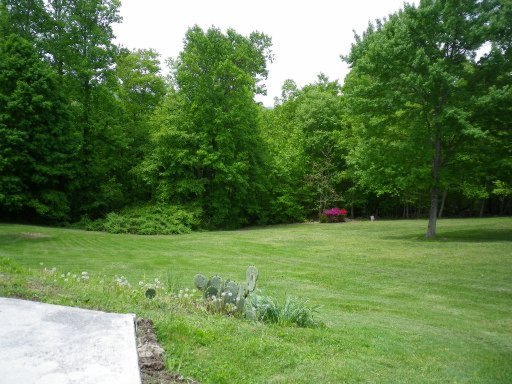 517 Stephens Road Rocky Top, TN 37769 - Photo 10 of 13 Additional Photo
