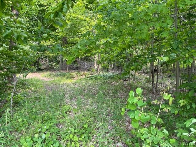 0 Harp Road Canastota, NY 13032 - Photo 1 of 1 Gallery Image 1